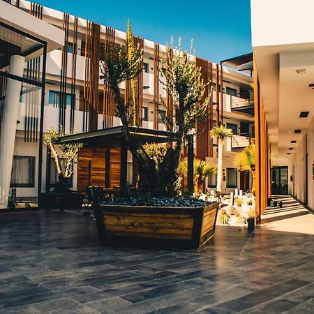 Hotel Mina Real ماتيخوالا المظهر الخارجي الصورة